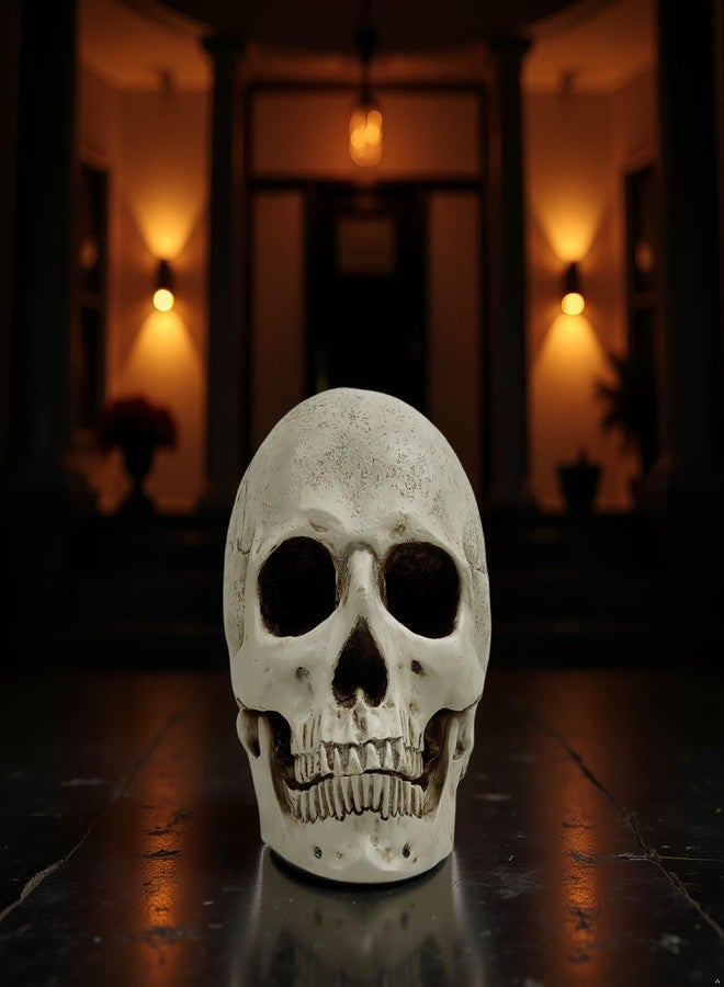 PlentifulHome Realistic Resin Human Skull Decor - Life-Size Halloween Skeleton Head with Removable Jaw, Macabre Fake Skull Prop for Home, Office, or Haunted Display - Image 3